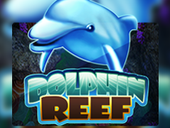 Dolphin Reef